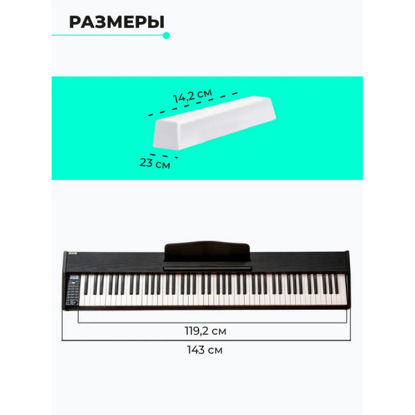 Купить Синтезатор AIWA ASZ-88W-10.jpg